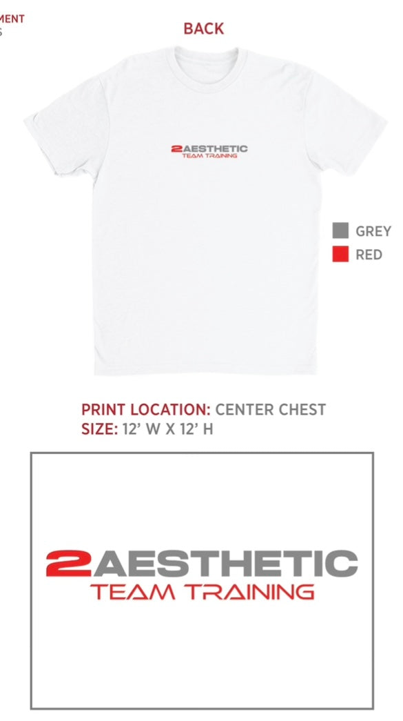 2Aesthetic Team Trainer Tee